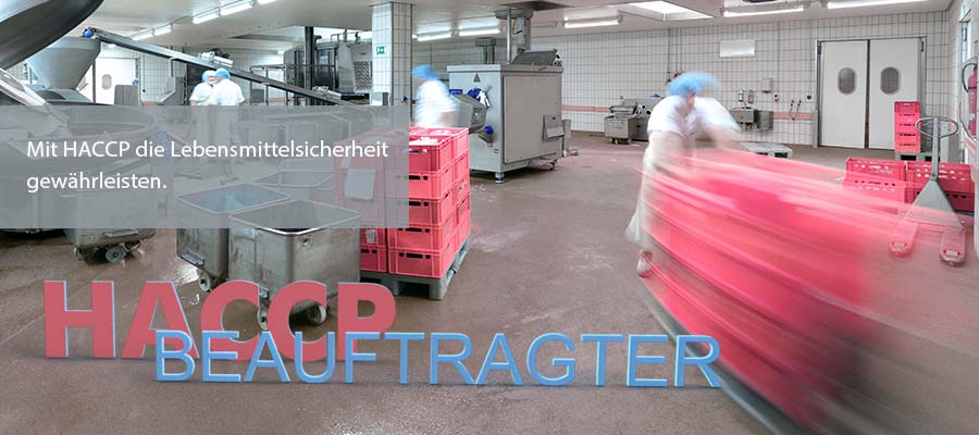 HACCP-Beauftragter